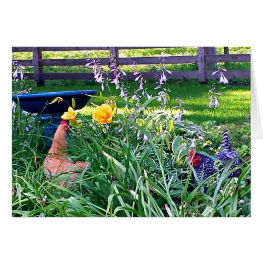 Hens in the Garden Cards (Front Horizontal)