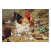 Hens roosting with their chickens (Front Horizontal)