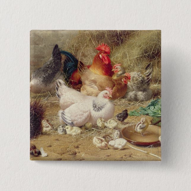 Hens roosting with their chickens button (Front)