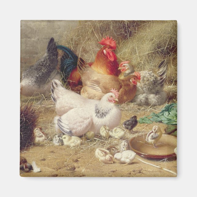 Hens roosting with their chickens magnet (Front)