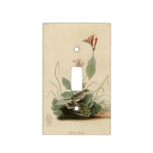 Henslow's Bunting (Sparrow), Audubon Birds America Light Switch Cover