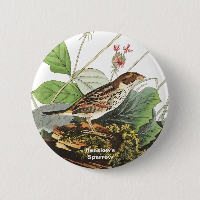 Henslow's Sparrow, Birdwatcher, Audubon Art, Bird Button (Front)