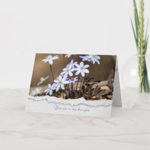 hepatica wildflower thinking of you card