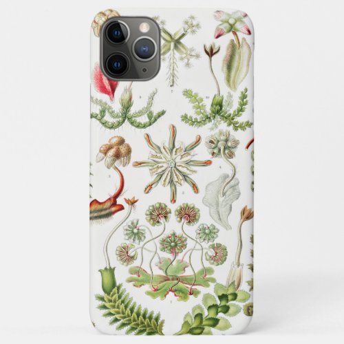 Hepaticae Lebermoose by Ernst Haeckel iPhone 11 Pro Max Case