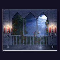 Her Silver Mantle Postcard