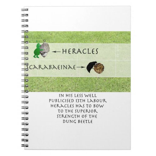 Heracles vs the Dung Beetle Notebook