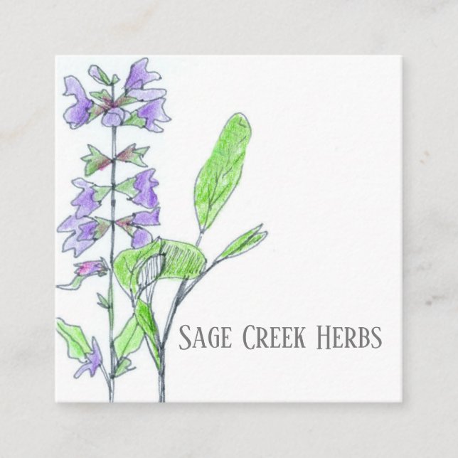 Herb Business Sage Farm Medicinal Culinary  Square Business Card (Front)