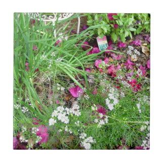 Herb collection chives photograph art ceramic tile