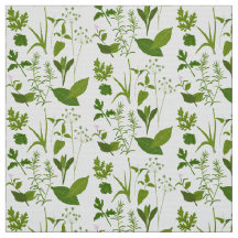 Herb Collection Herbs