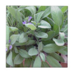 Herb collection sage photograph art tile<br><div class="desc">Hello boys and gals, welcome to Marisa Designs. The subjects in my photographs are simple, yet beautiful to me. Places I've been to, people, and animals I've met along the way, flowers, and veggies that I've grown in my little garden in sunny Florida. I'm new to Zazzle, but my shop...</div>