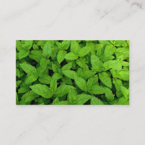 Herb Farm Business Cards
