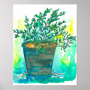 Herb Garden Rosemary Poster