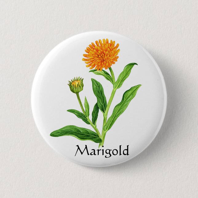 Herb Garden Series - Marigold Button (Front)