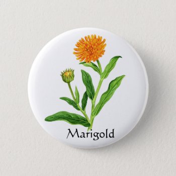 Herb Garden Series - Marigold Button by Spice at Zazzle