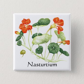Herb Garden Series - Nasturtium Button by Spice at Zazzle