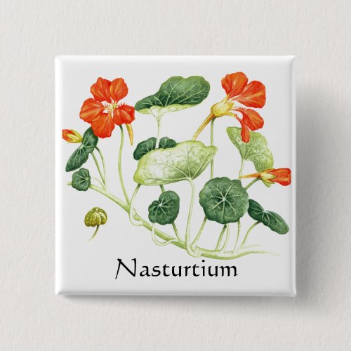 Herb Garden Series _ Nasturtium Button