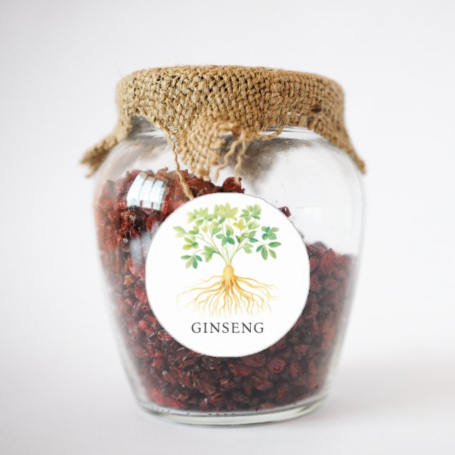 Herb Ginseng Watercolor  Classic Round Sticker (Herb Ginseng Watercolor Classic Round Sticker)