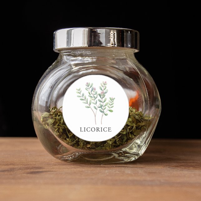 Herb Licorice Watercolor  Classic Round Sticker (Herb Licorice Watercolor Classic Round Sticker)