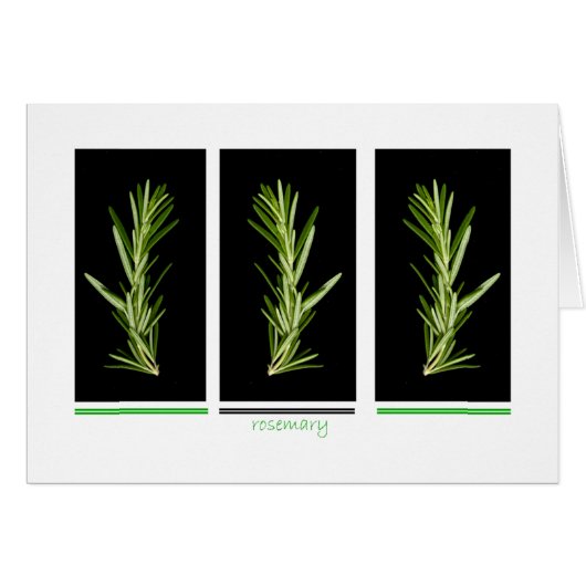 herb - rosemary card (Front Horizontal)