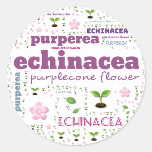 HERB WORD LABEL - HERBS/VEGETABLE - PURPLECONE