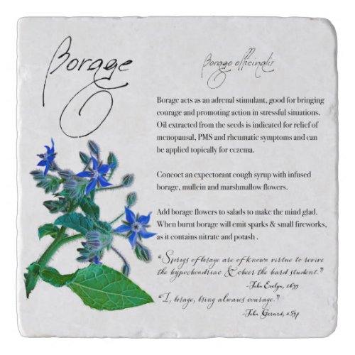 Herbal Apothecary Borage  Stone Trivet