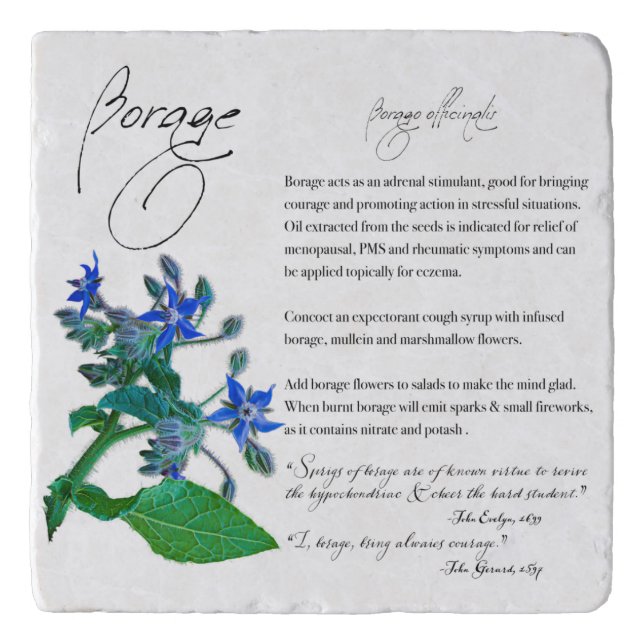 Herbal Apothecary: Borage | Stone Trivet (Front)