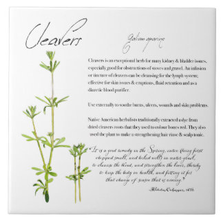 Herbal Apothecary: Cleavers | Ceramic Tile