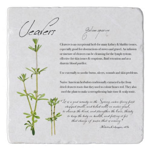 Herbal Apothecary Cleavers  Stone Trivet