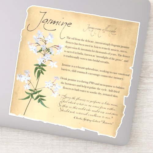 Herbal Apothecary Jasmine  Botanical Sticker