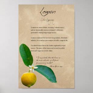 Herbal Apothecary: Lemon Botanical Poster