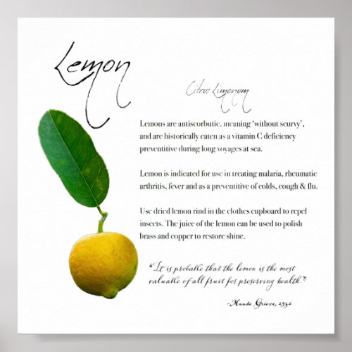 Herbal Apothecary Lemon  Value Paper Poster