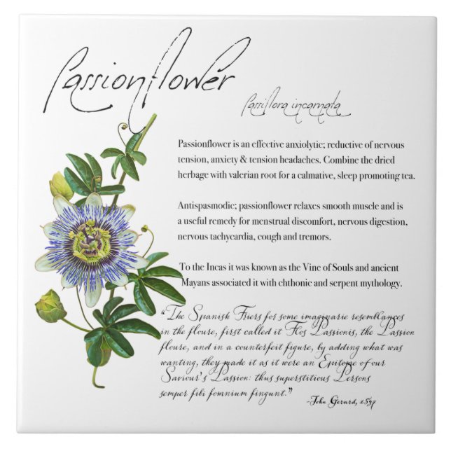 Herbal Apothecary: Passionflower | Ceramic Tile (Front)