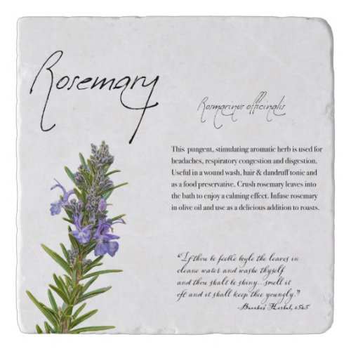 Herbal Apothecary Rosemary  Botanical Trivet