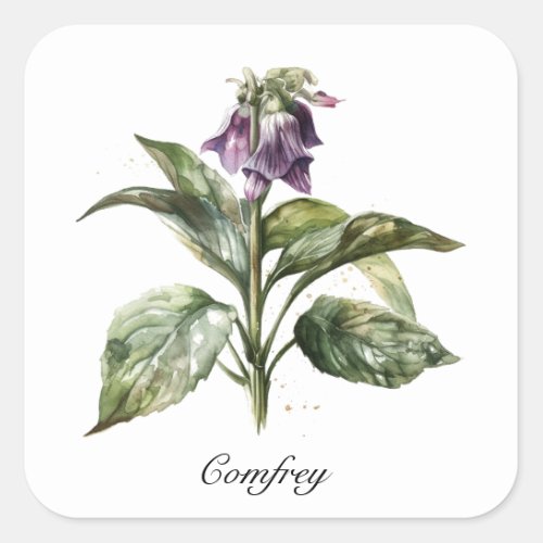 Herbal Life Comfrey customizable Square Sticker