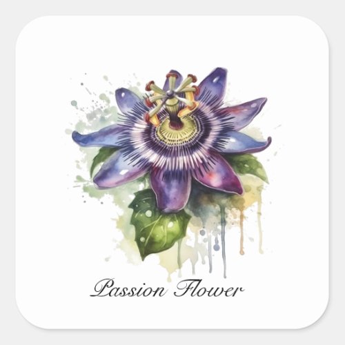 Herbal Life passion flower customizable Square Sticker