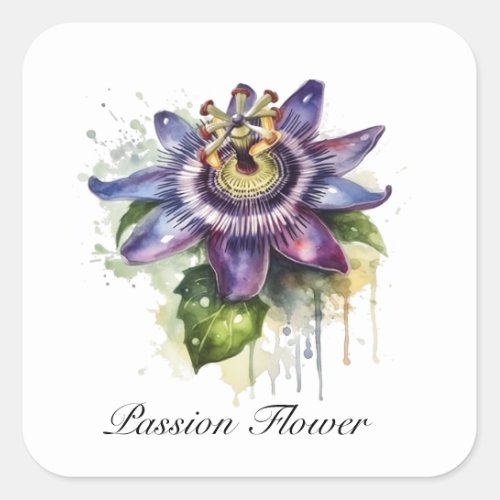 Herbal Life passion flower in purple customizable Square Sticker