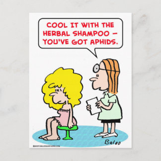 herbal shampoo aphids postcard