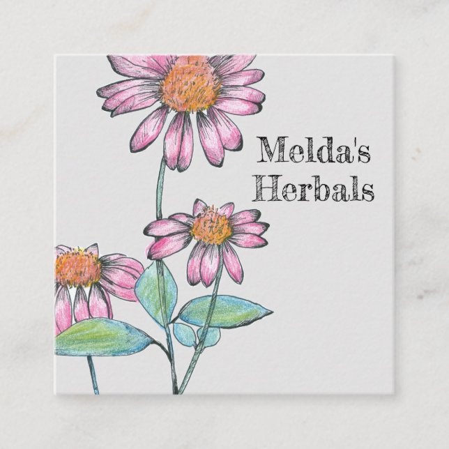 Herbalist Coneflower Echinacea Medicinal  Square Business Card (Front)
