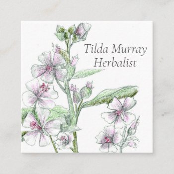 Herbalist Marshmallow Flowers Medicinal Herbs  Square Business Card by CountryGarden at Zazzle