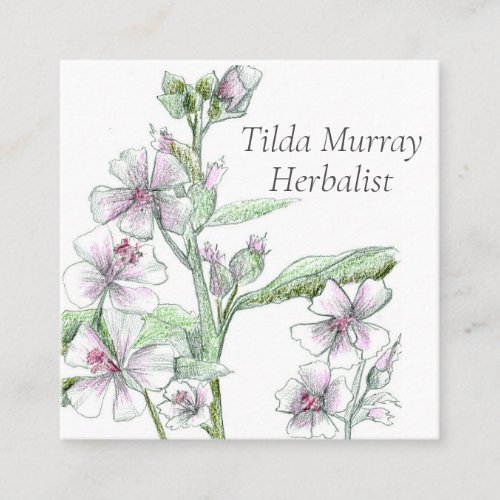 Herbalist Marshmallow Flowers Medicinal Herbs  Square Business Card