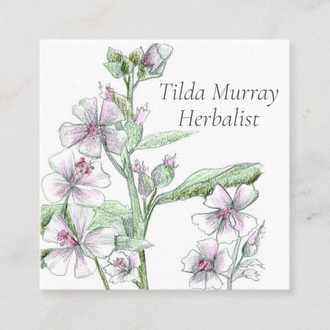 Herbalist Marshmallow Flowers Medicinal Herbs  Square Business Card (Front)