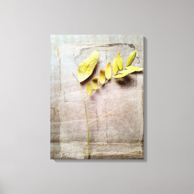 Herbarium V Canvas Print (Front)