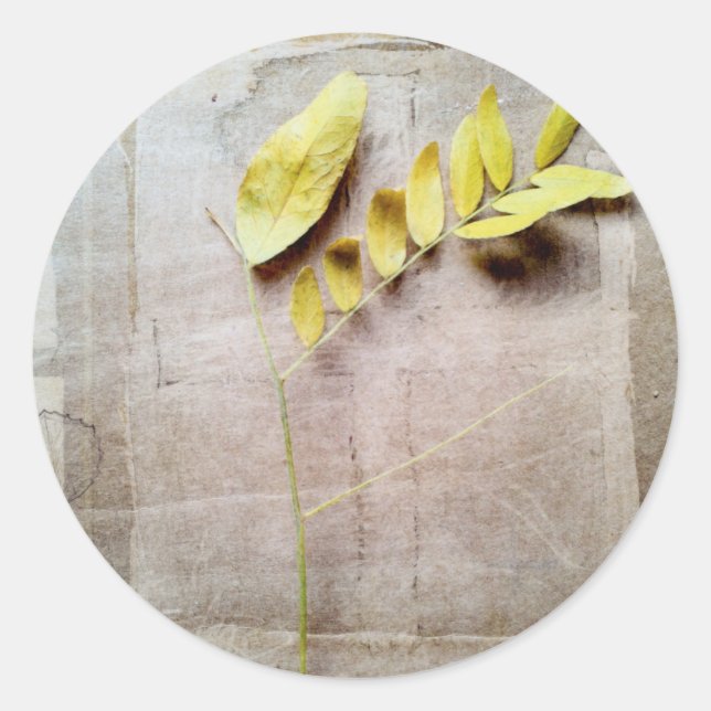 Herbarium V Classic Round Sticker (Front)