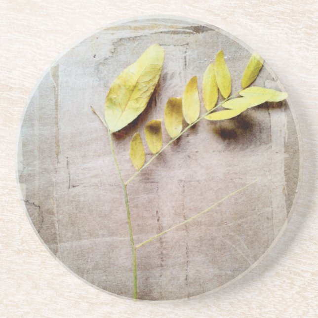 Herbarium V Drink Coaster (Front)