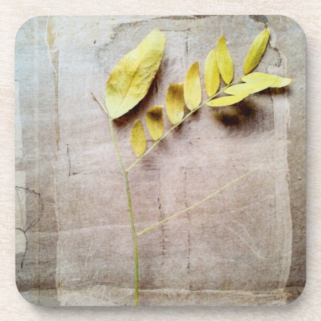 Herbarium V Drink Coaster (Front)