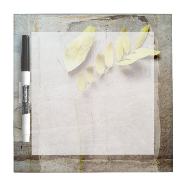 Herbarium V Dry-Erase Board (Front)