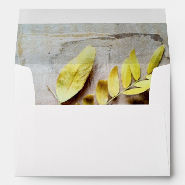 Herbarium V Envelope (Back (Bottom))