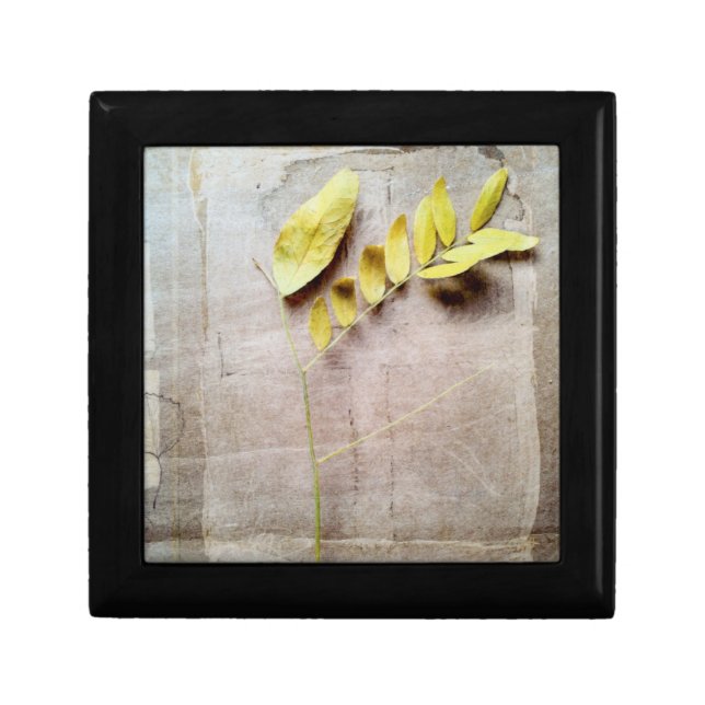 Herbarium V Jewelry Box (Front)