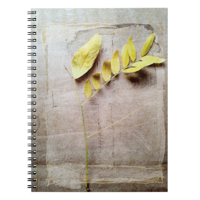 Herbarium V Notebook (Front)
