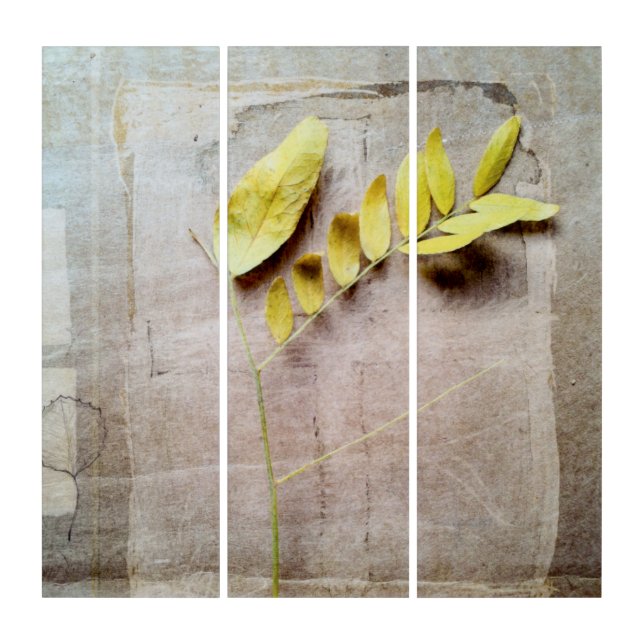Herbarium V Triptych (Front)
